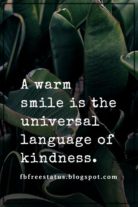 Kindness Quotes Famous To Inspire You To Help Others