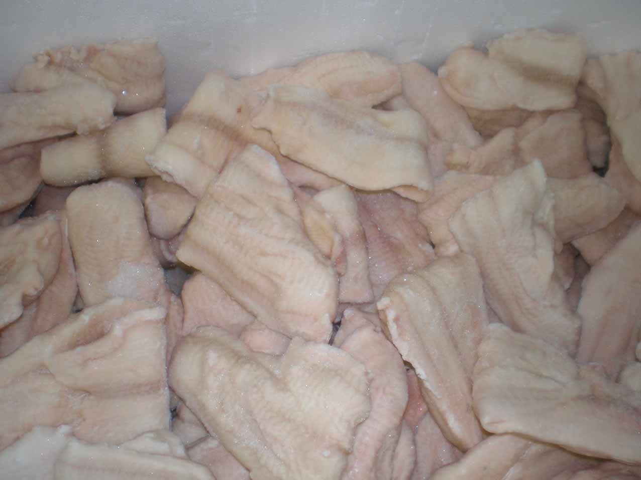 Frozen Catfish Used as Dinner Menu Ingredient at Home Frozen Catfish