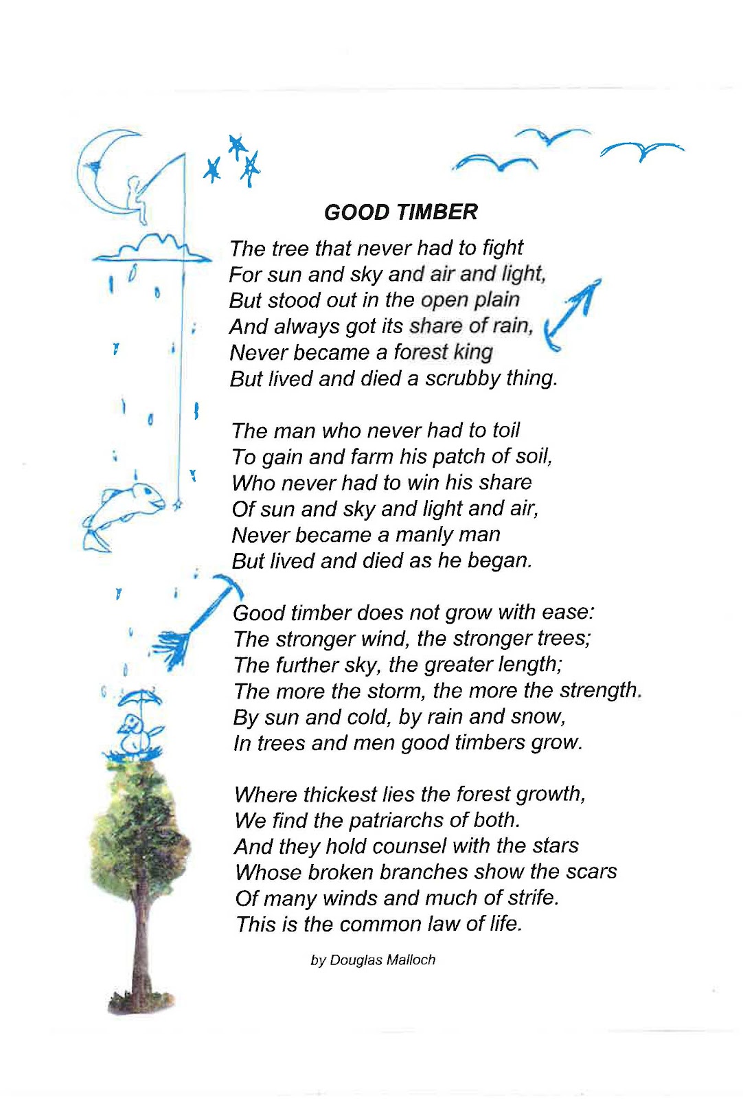 Budjie's Thoughts: Ode to the mighty timber