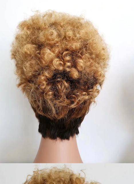 DreamDiana Ombre Short Curly Wig3