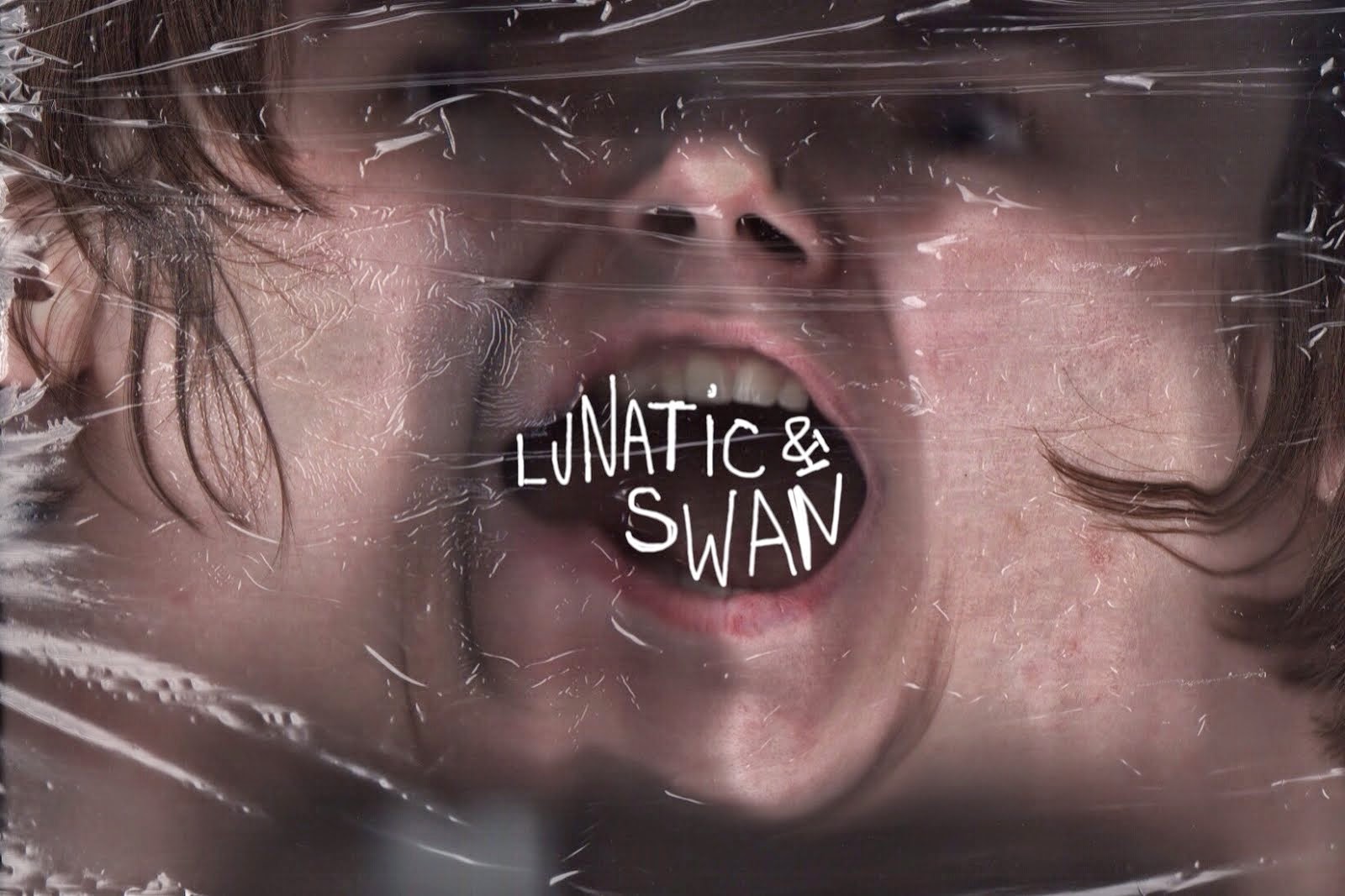 The Lunatic & The Swan