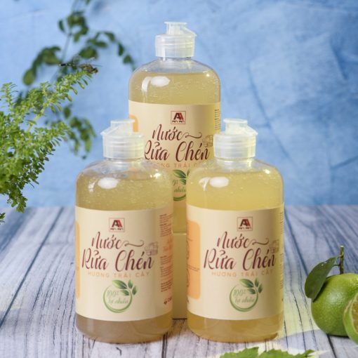 Nước Rửa Chén Hương Trái Cây An An 500ML