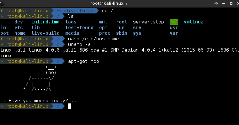 Консоль линукс. Cdm linux. Линукс операционная система консоль. Консоль терминала linux. Ос linux значок.