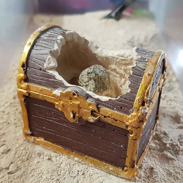 Mini Dig Kit chest dug open