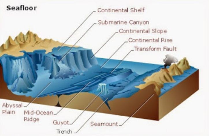 Dasar Laut Yang Memiliki Kedalaman Lebih Dari 6 000 Meter Disebut Terlengkap