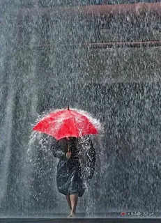 صور مطر, كلام عن المطر, مطر, صور, rain