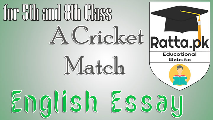 essay on psl cricket match