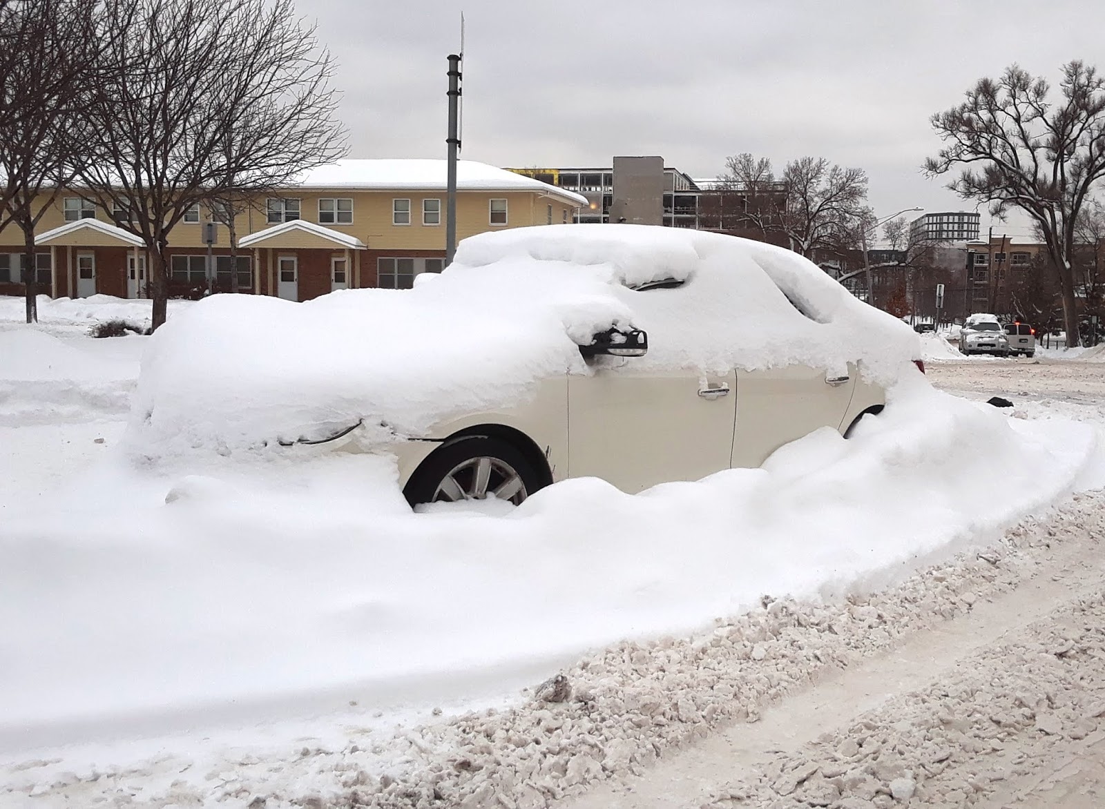 The Wild Reed: A New Snowfall Record