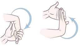 Wrist flexion/extension stretch