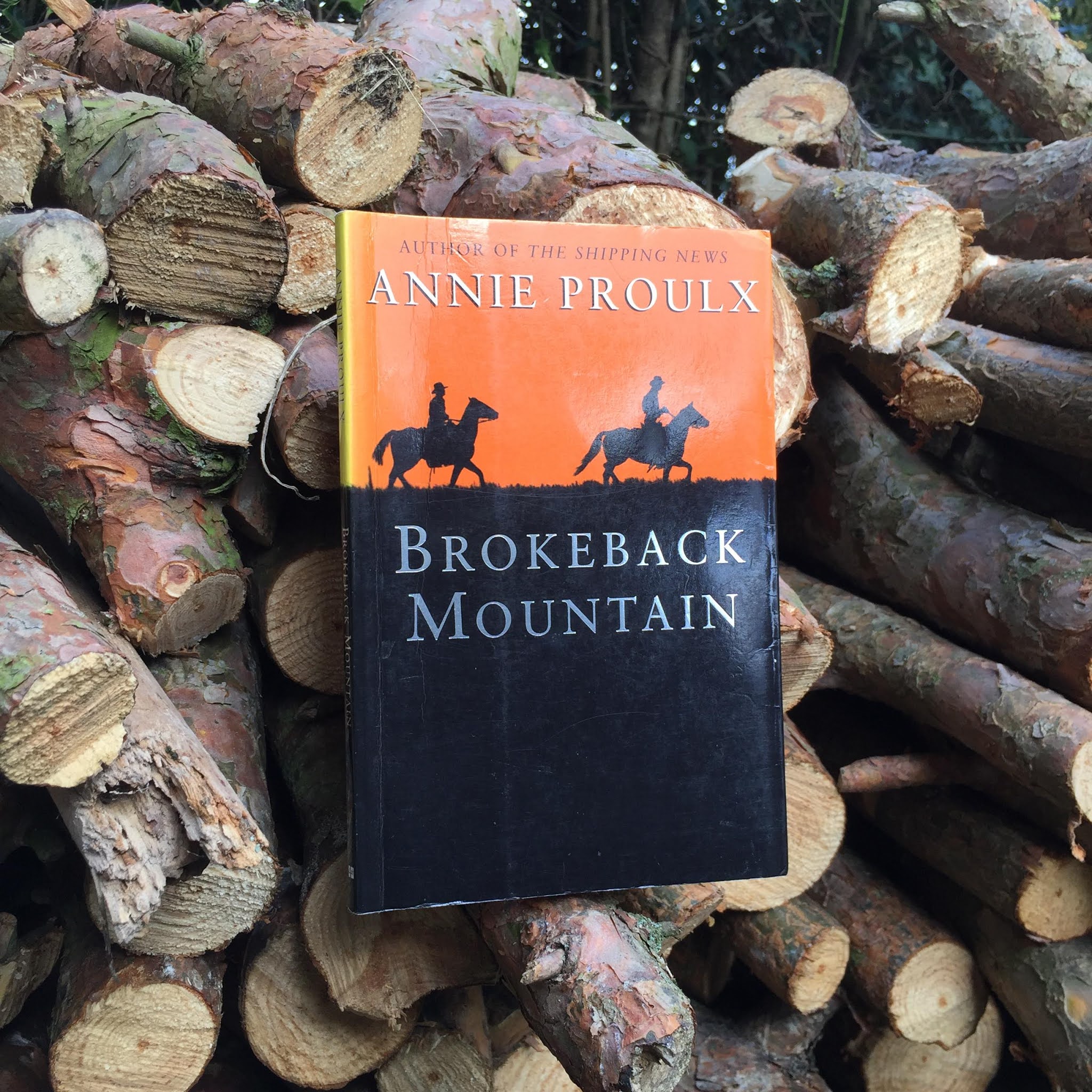 brokeback mountain short story book buy brokeback mountain short story book buy