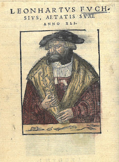Frontispiece to Fuchs's herbal