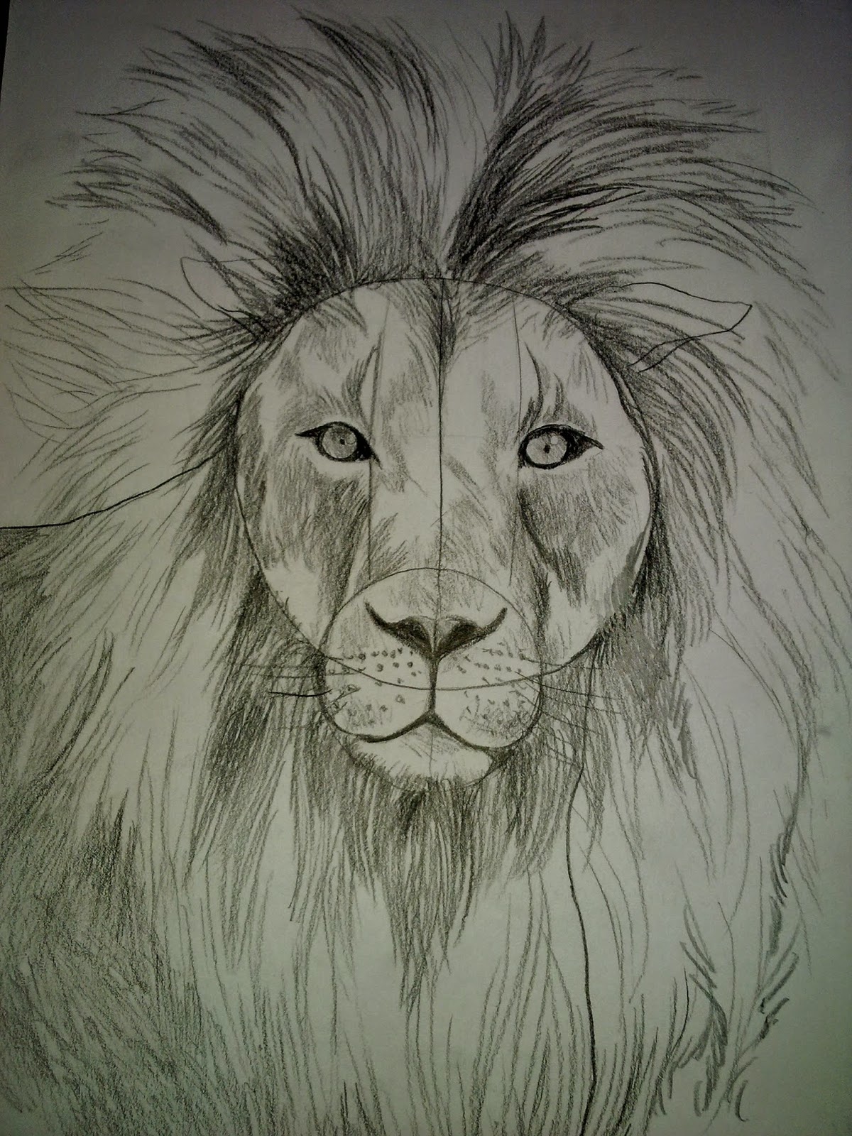 Gambar Sketsa Lukisan Hewan - IMAGESEE