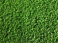 Consejos para Tú Jardín: Cesped Artificial.