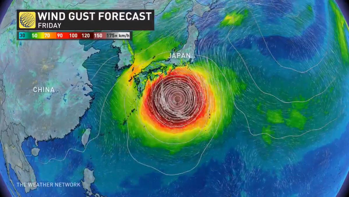 ラグビーワールドカップ 最強台風直撃で試合中止 海外の反応 かいこれ 海外の反応 コレクション