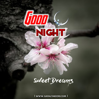 beautiful good night images