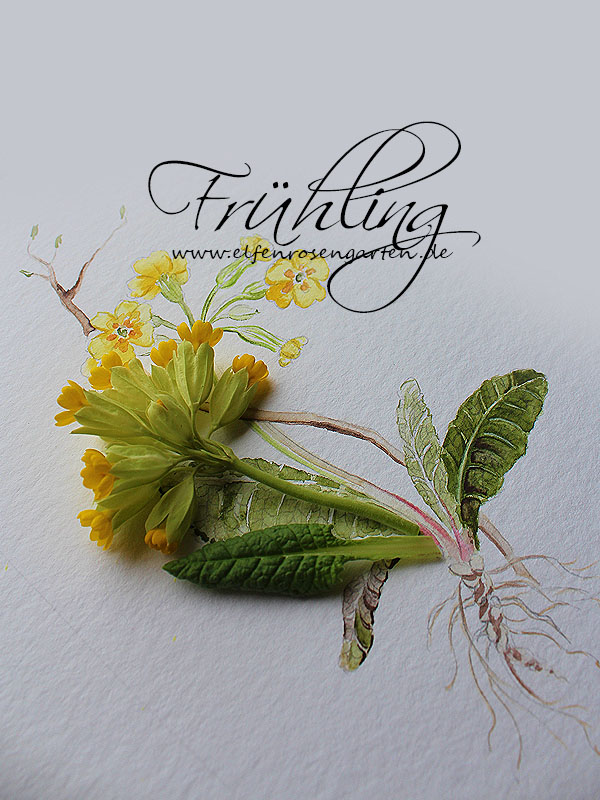 Elfenrosengarten So Ein Gemeiner Muskelkater