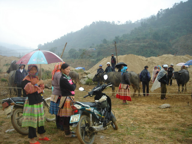 À la découverte des couleurs du marché forain de Côc Ly, province de Lào Cai