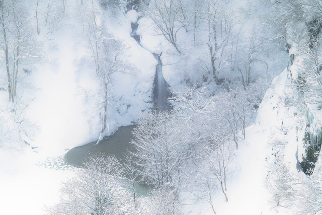 #photo #landscape #sigma #foveon #sdquattroh #japan #yamagata #tsuruoka #山形県 #鶴岡市 #山形帝國 #写真 #風景写真