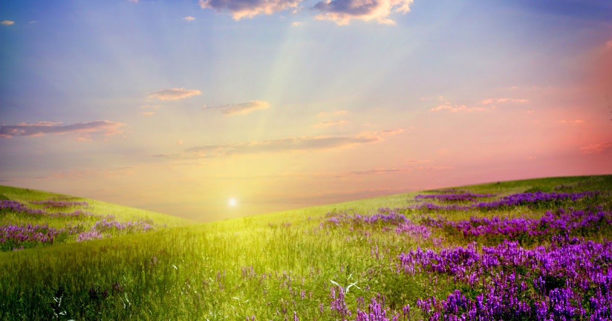 Top Ảnh Đẹp Miễn Phí: Tải ảnh bình mình đẹp nhất, hình nền cảnh bình minh buổi sáng