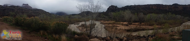 The #ZionHalf course winds through the Zion Canyon with breathtaking views.