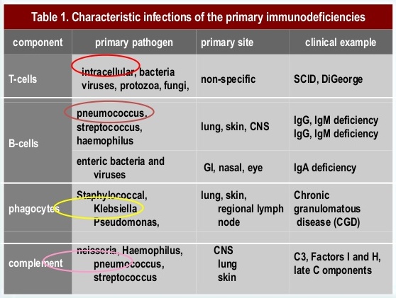 Types of Primary Immune Deficiency Diseases