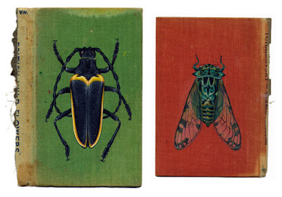 libros con insectos pintados