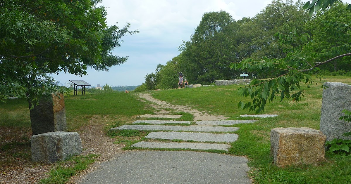 Trailing Ahead A drumlin in the Arnold Arboretum Peters Hill—the
