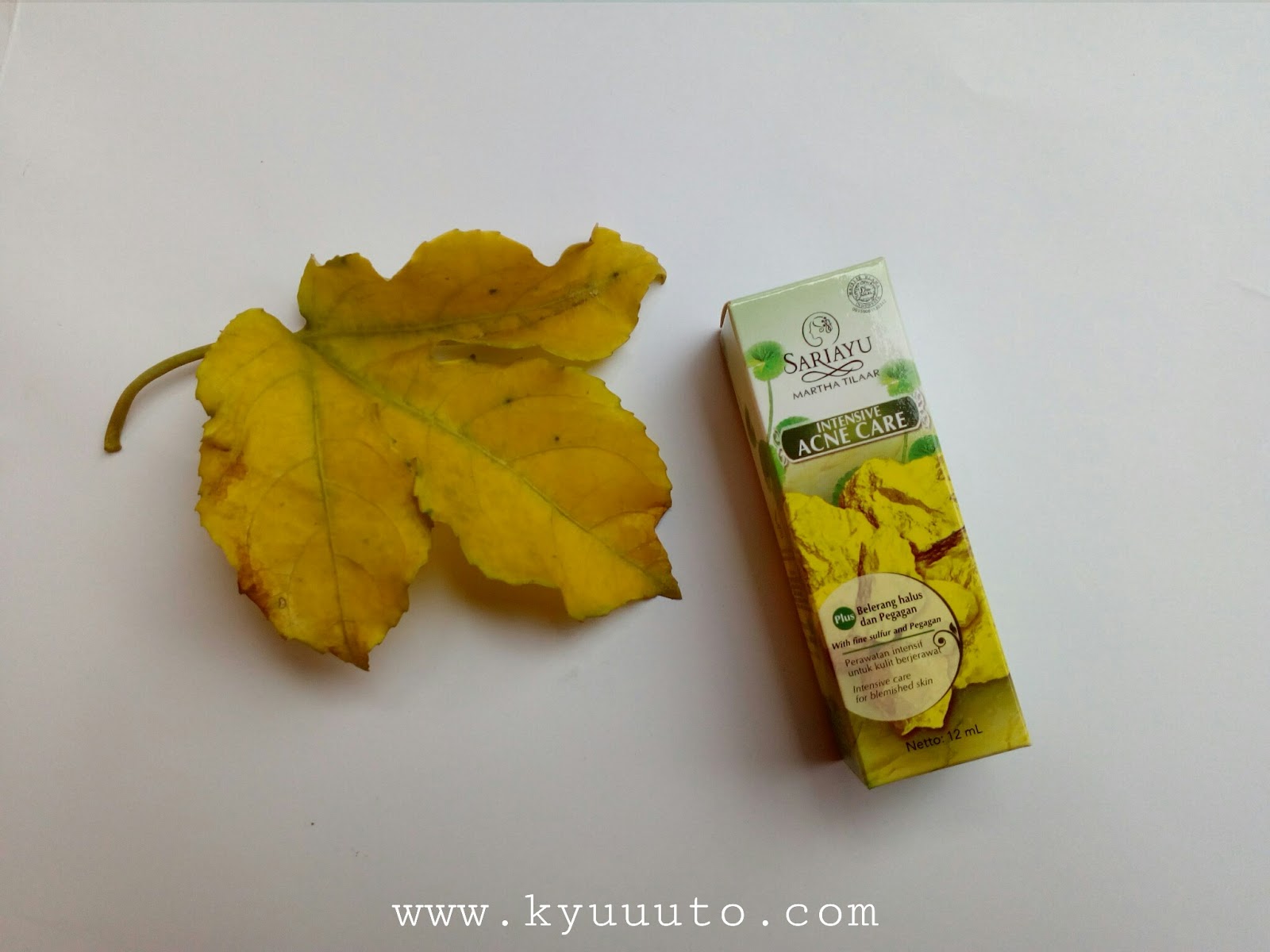 Review Sariayu Intensive Acne Care Kyuuuto