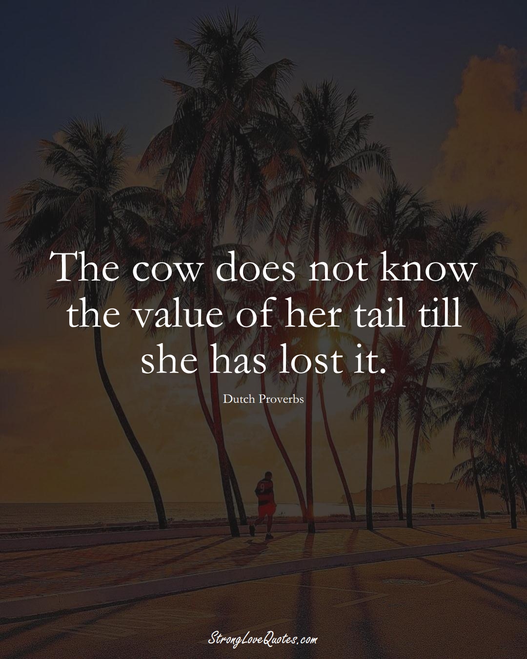The cow does not know the value of her tail till she has lost it. (Dutch Sayings);  #EuropeanSayings