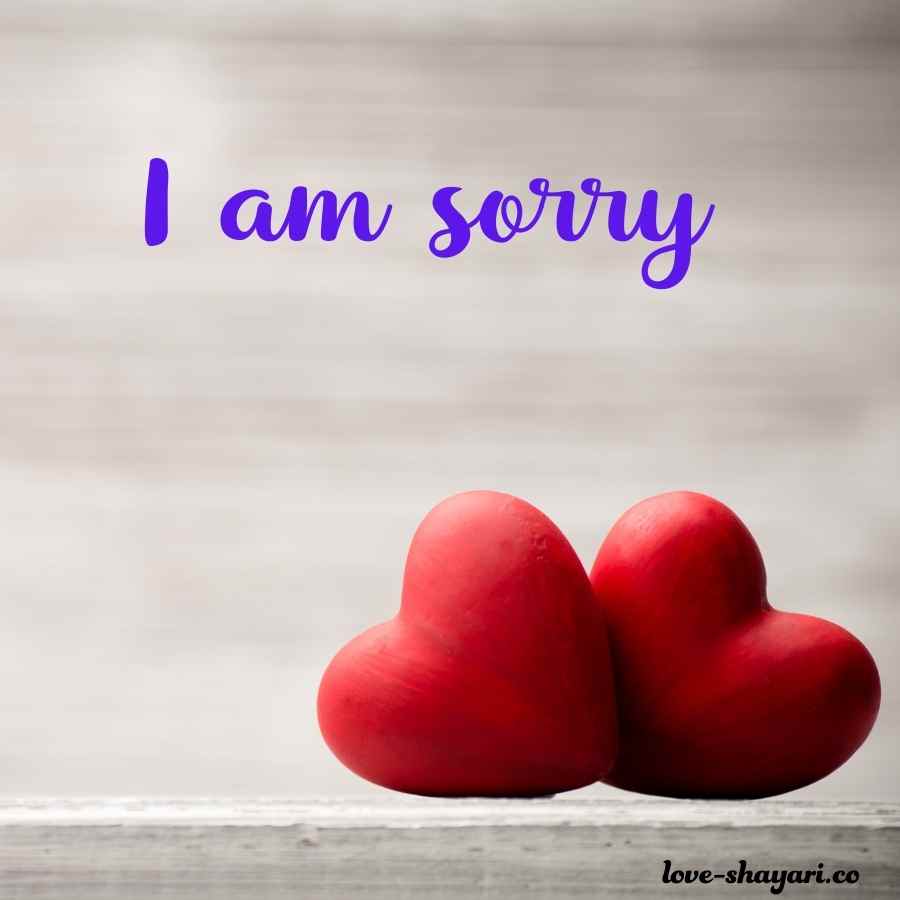 90 I am sorry images for lover | Cute sorry images