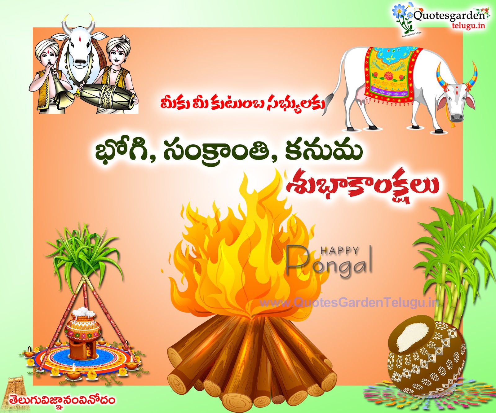 holi festival matter in telugu