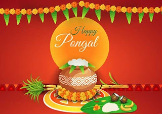 happy pongal