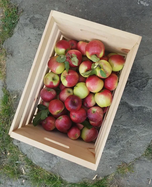 wooden crate full of apples