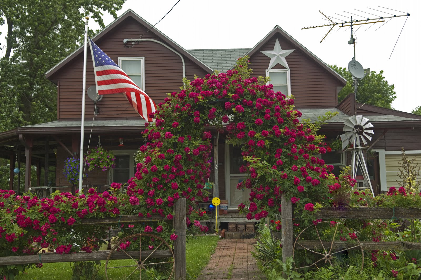 Bailey's Buddy June 2011