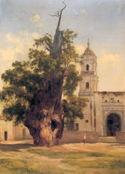 parquealamillo-encinarosa: Taxodium mucronatum – Ahuehuete - Ciprés ...