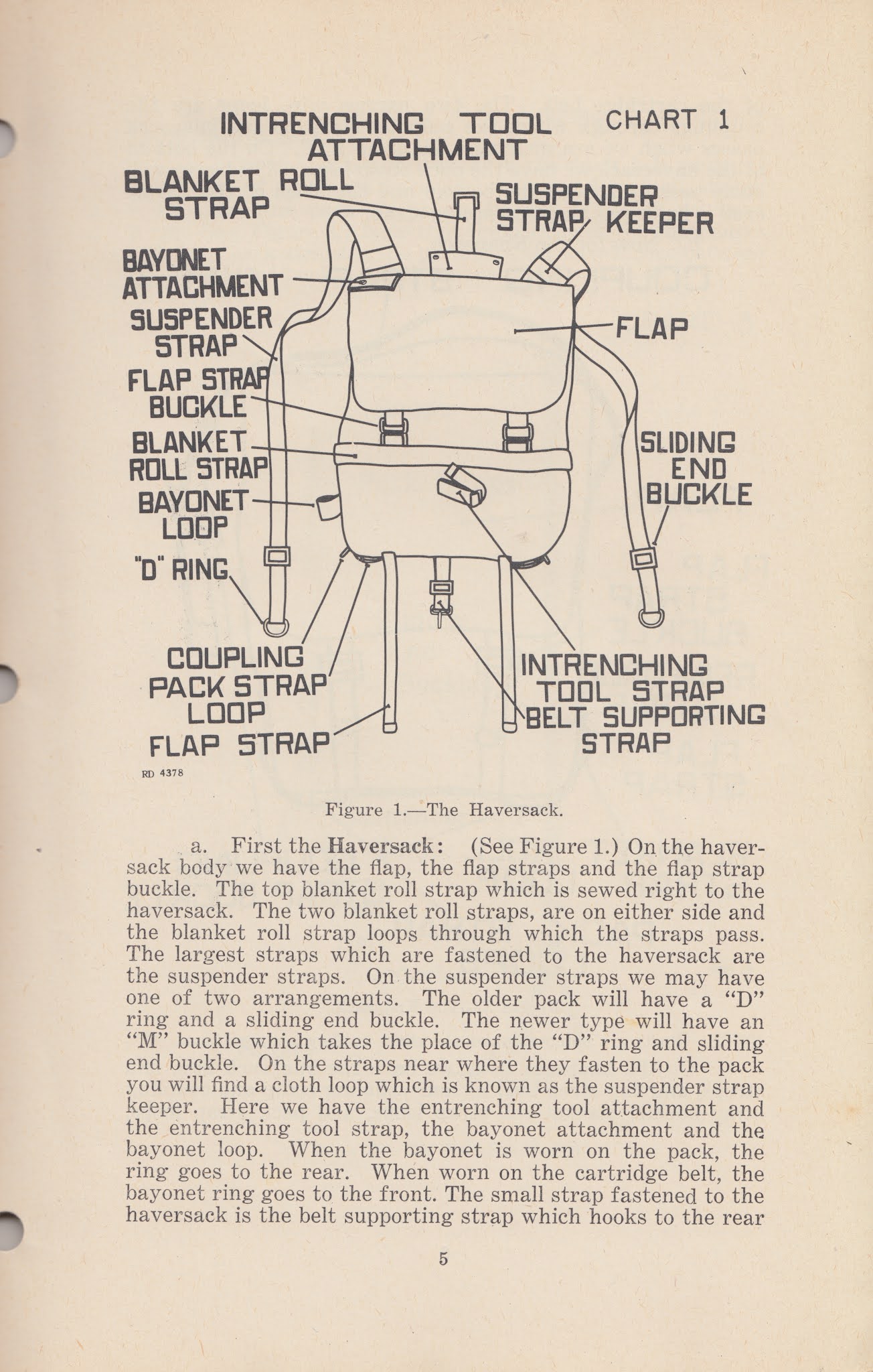 Marines In Forest Green