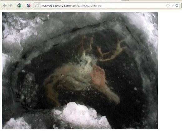 El Rincon Paranormal Deep Web Explica Esta Foto.