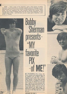 NYSocBoy's Beefcake and Bonding: Bobby Sherman: Here Come the Brides