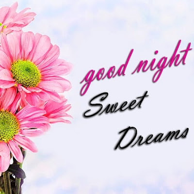 Good Night Sweet Dreams Pictures