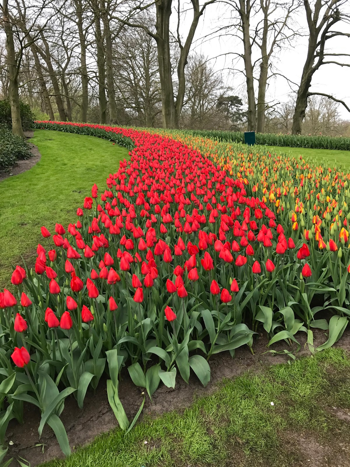 Keukenhof