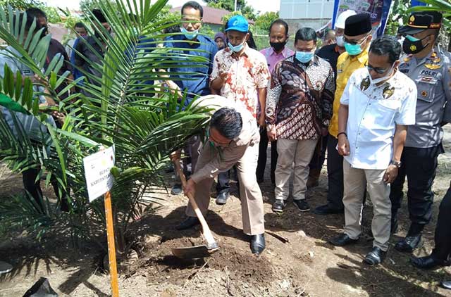 Indra Catri tanam perdana pohon kelapa sawit
