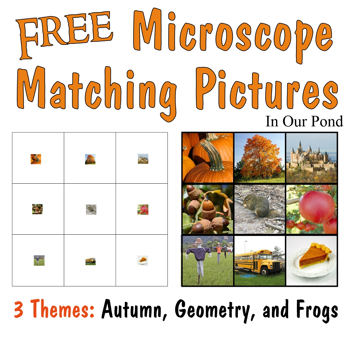 Microscope Matching Pictures (free printable) In Our Pond