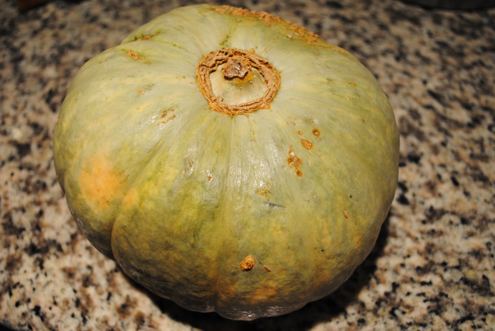 Veggies for Carnivores Kabocha Squash in IndianStyle Curry