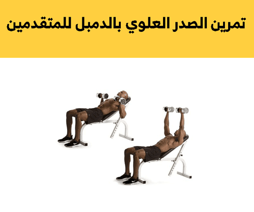 تمارين الصدر