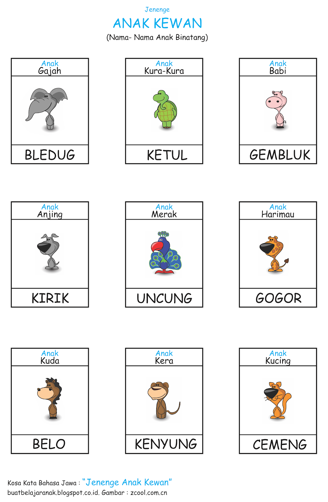 Kosa Kata Nama Nama Anak Hewan Dalam Bahasa Jawa