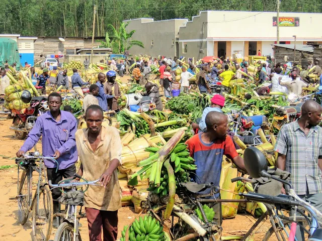 Matoke market in Uganda