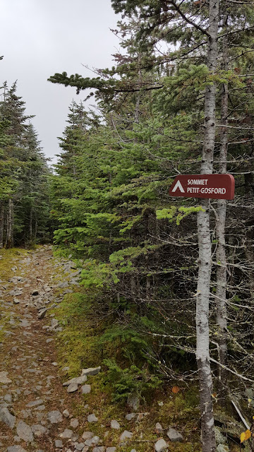 Au sommet du mont Petit Gosford