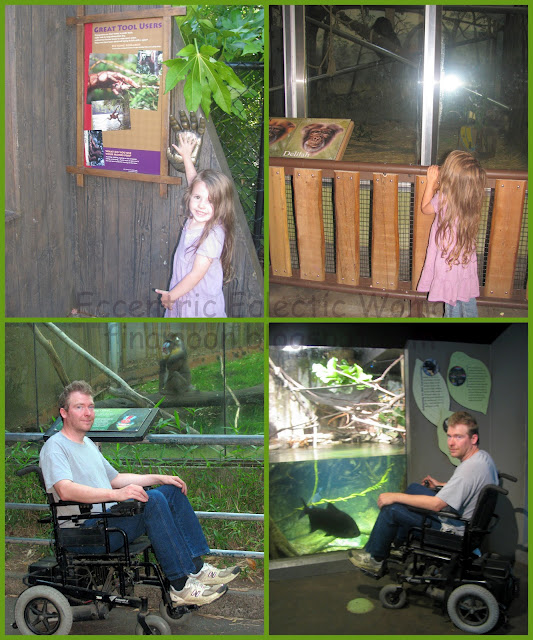 Eccentric Eclectic Woman Oregon Zoo Sunset at the Zoo Event sunsetzoo