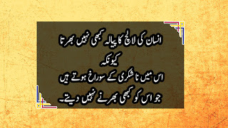 Best Quotes in Urdu