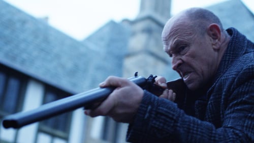 The Bride 2019 Stream Deutsch